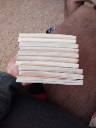 El misterio de los elfos: Geronimo Stilton 51