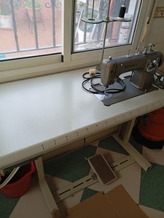 Maquina de coser profesional