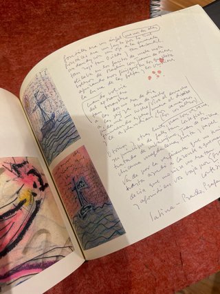 Libro y CD Sabina,vinagre y rosas