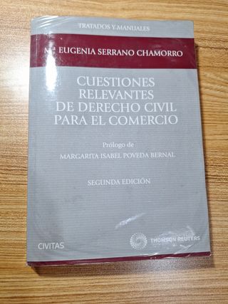 Cuestiones relevantes de Derecho Civil para el comercio (Tratados y Manuales de Derecho) (Spanish Edition)