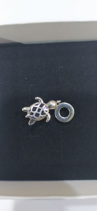 Charm de plata