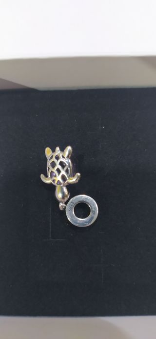 Charm de plata
