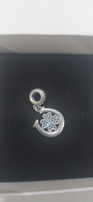Charm de plata
