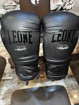Guantes leone Boxeo12Oz