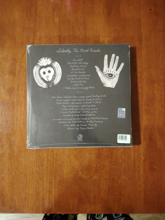 Silenty,the mind breaks , vinile