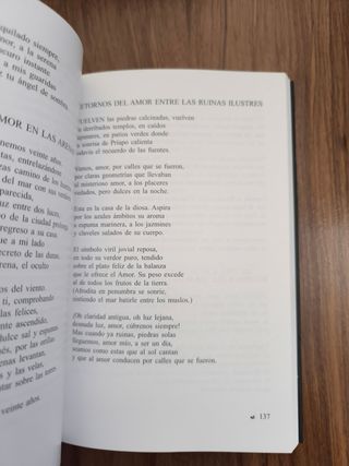 Amor Y Los Ángeles