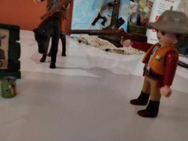 Lote oeste, sherif, ladrones, caballos laymobil