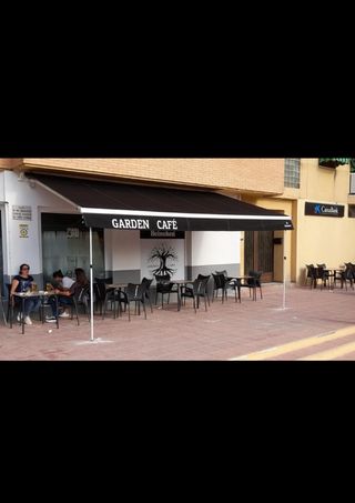 Toldo de brazos extensibles