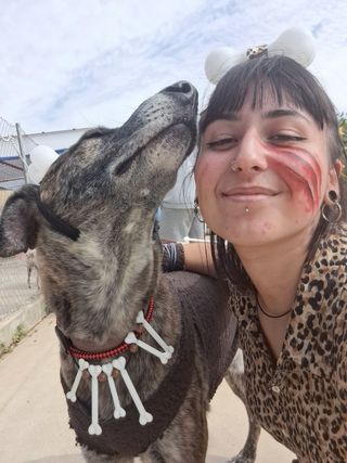 Cuidado de mascotas a domicilio 🐾🐕🐈