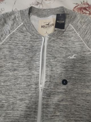 Sudadera Hollister