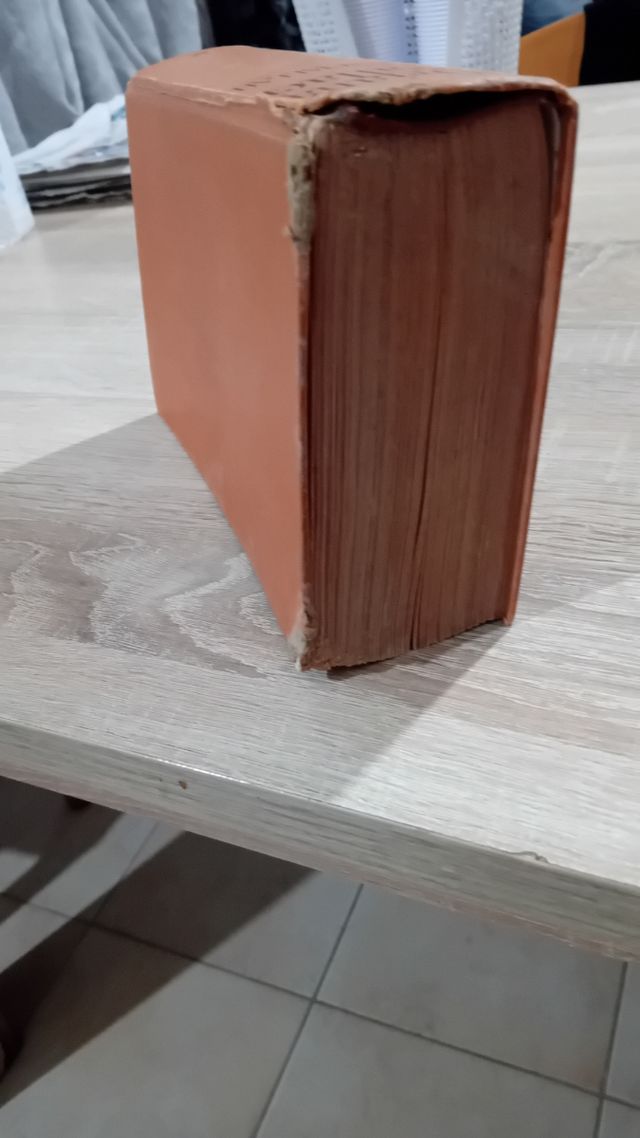 Insciallah: Romanzo.