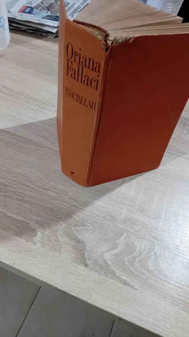 Insciallah: Romanzo.