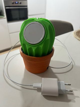 Cactus magsafe apple