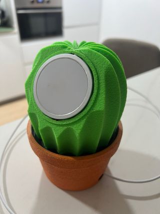 Cactus magsafe apple