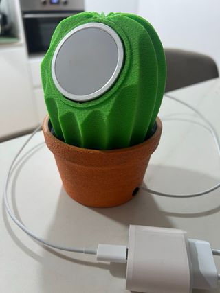 Cactus magsafe apple