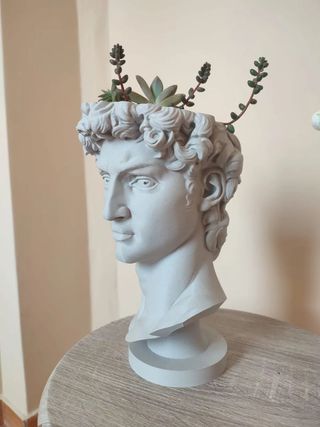 Maceta Decorativa David de Miguel Ángel