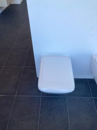 INODORO PALACE TAZA MURAL 49 BLANCO