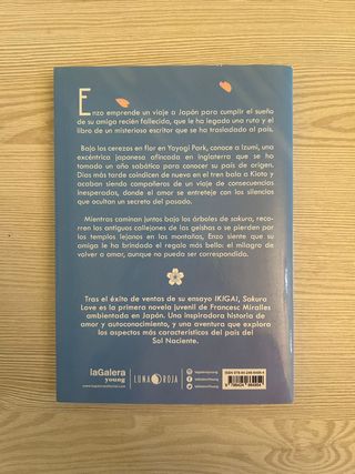 Libro juvenil