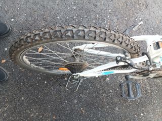 Bicicleta 24