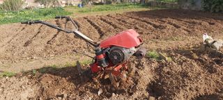 motocultor