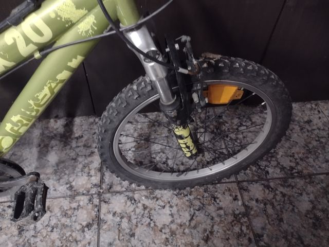 Bicicletta da ragazzo