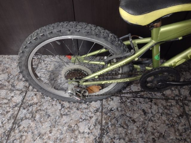Bicicletta da ragazzo
