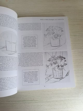 Dibujo para principiantes