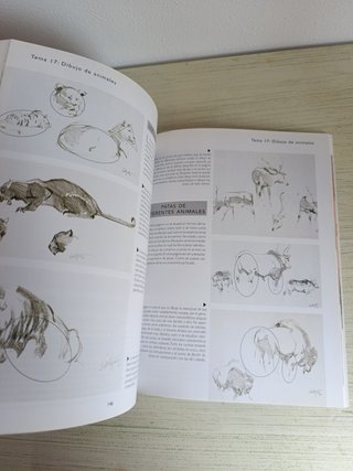 Dibujo para principiantes