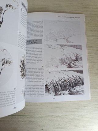 Dibujo para principiantes