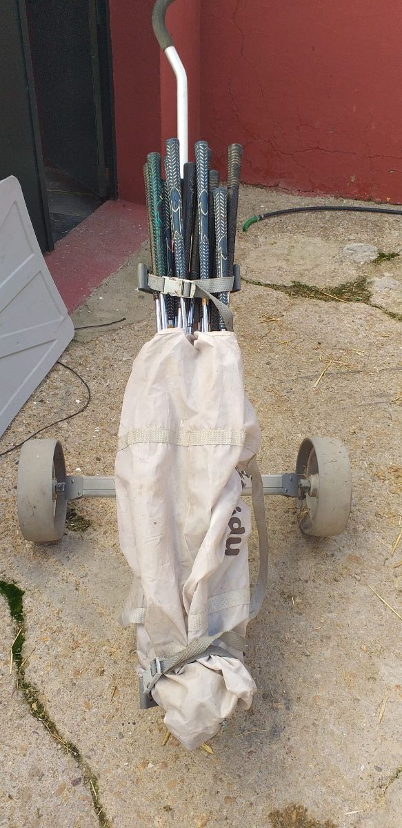 Lote artículos de Golf