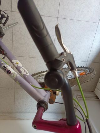 Bicicleta infantil juvenil