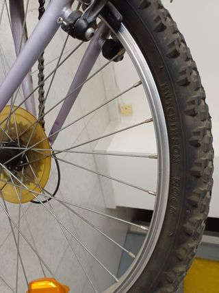 Bicicleta infantil juvenil