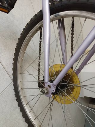 Bicicleta infantil juvenil