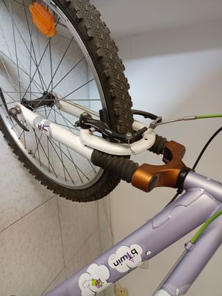 Bicicleta infantil juvenil