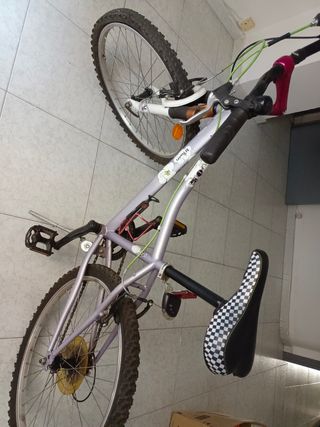Bicicleta infantil juvenil