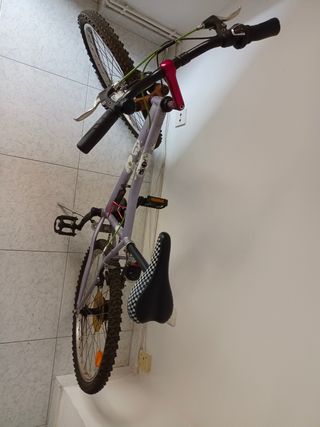 Bicicleta infantil juvenil