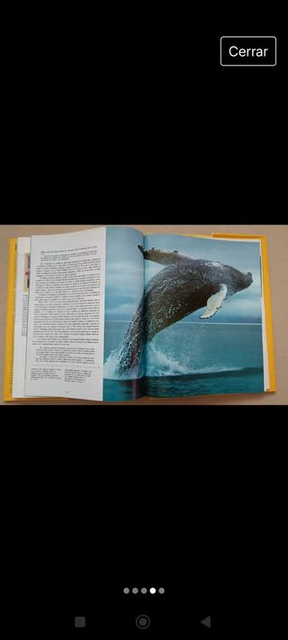 The National Geographic Society (Spanish Edition)