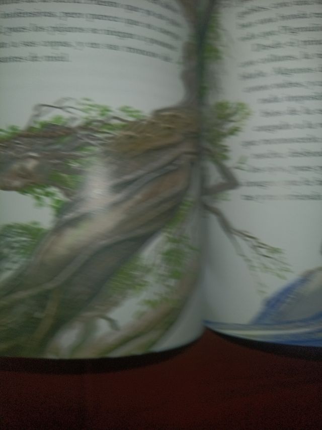 Metamorfosis (clasicos Adaptados)