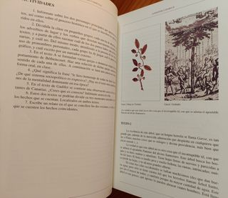 Desarrollo del currículo