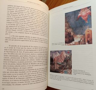 Desarrollo del currículo