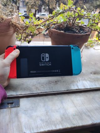 Nintendo switch 