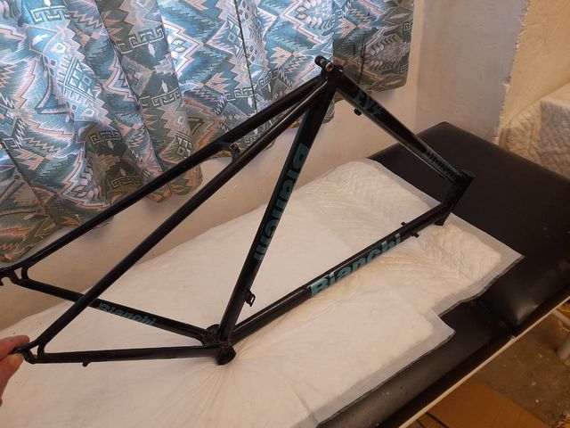 Telaio in acciaio decorato come Bianchi Ev 4 Pantani
