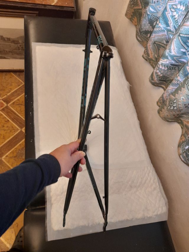 Telaio in acciaio decorato come Bianchi Ev 4 Pantani