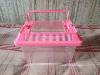 Pecera con plantas y piedras.