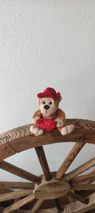 Macaquinho 🐒 magnífico 
