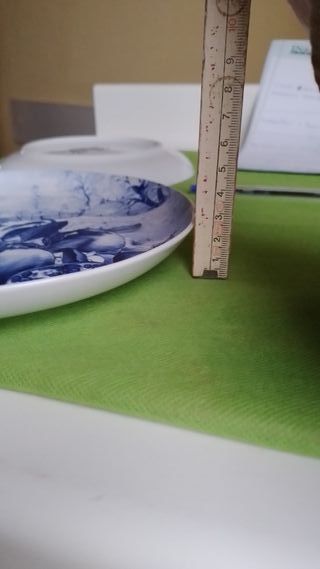 Due piatti uguali Limoges