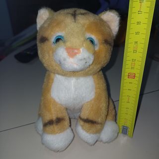Peluche gatto