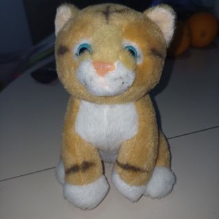 Peluche gatto