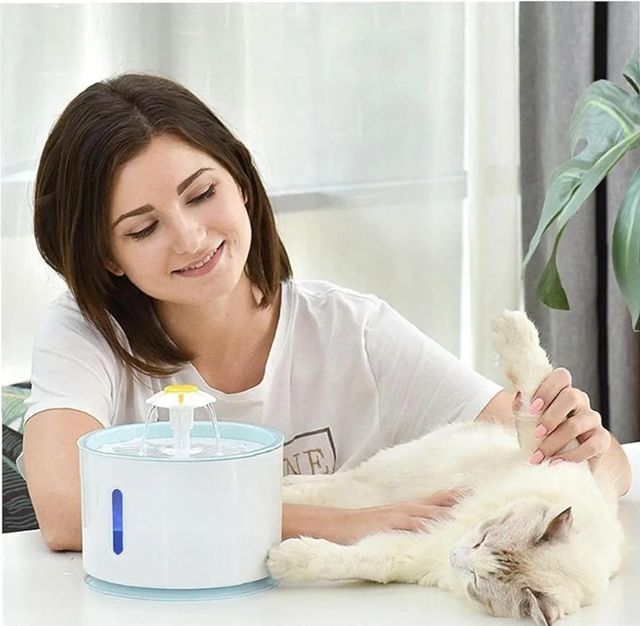 Fonte de água para animais de estimação