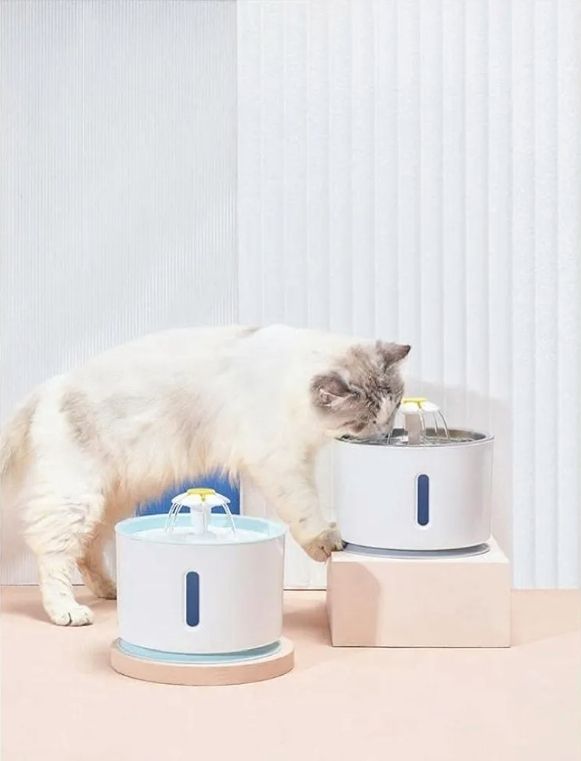Fonte de água para animais de estimação